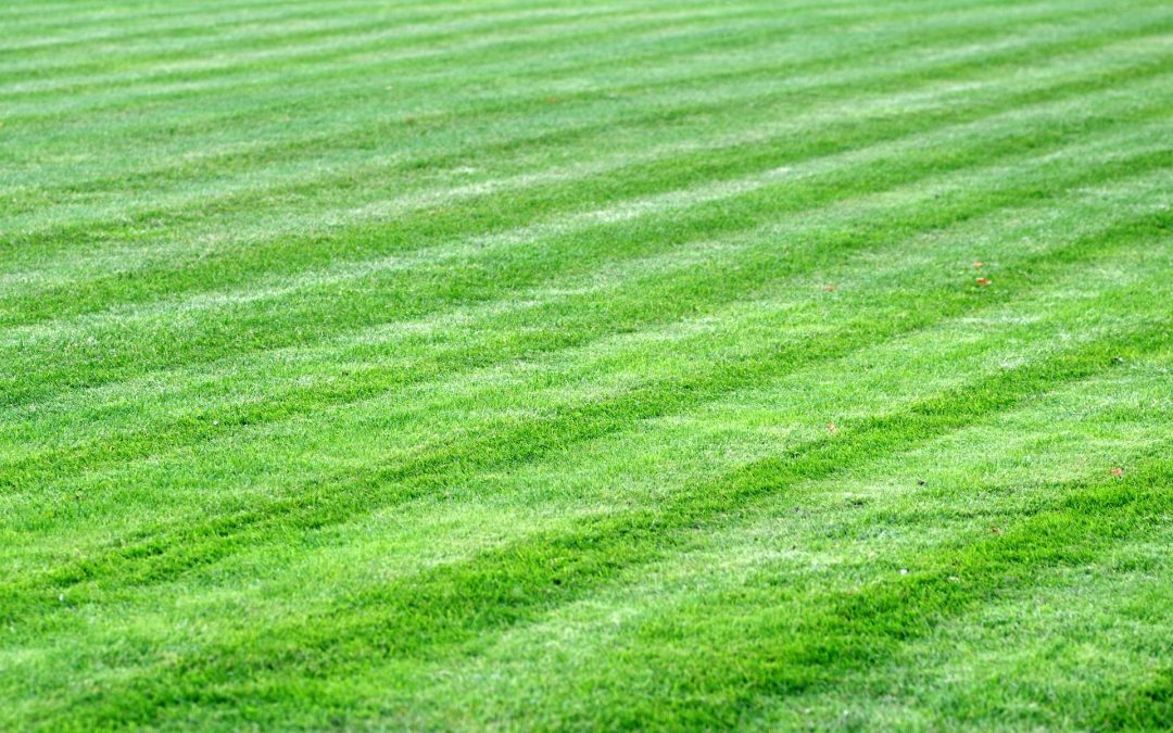 Fertilizer Application Lawn Care Programs | Roxbury, CT