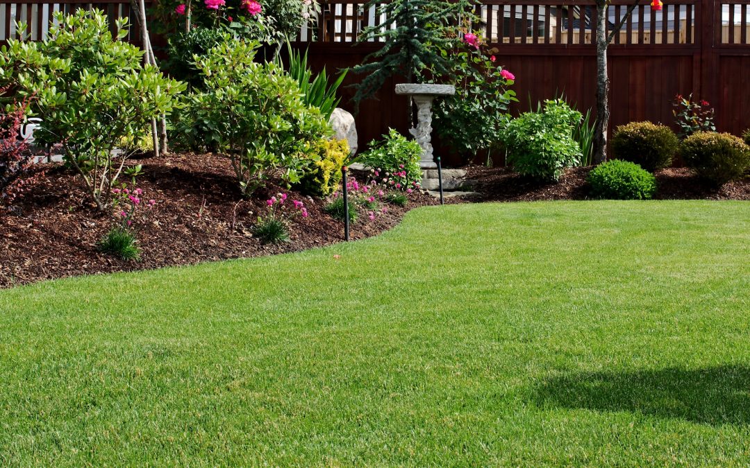 Oxford, CT | Lawn Care & Weed Control Company | Aeration & Dethatching | Lawn Fertilizer Company Near Me