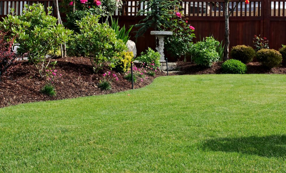 Oxford, CT | Lawn Care & Weed Control Company | Aeration ...