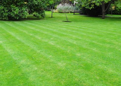 Newtown, CT | Lawn Core Aeration & Overseeding | Lawn Dethatching