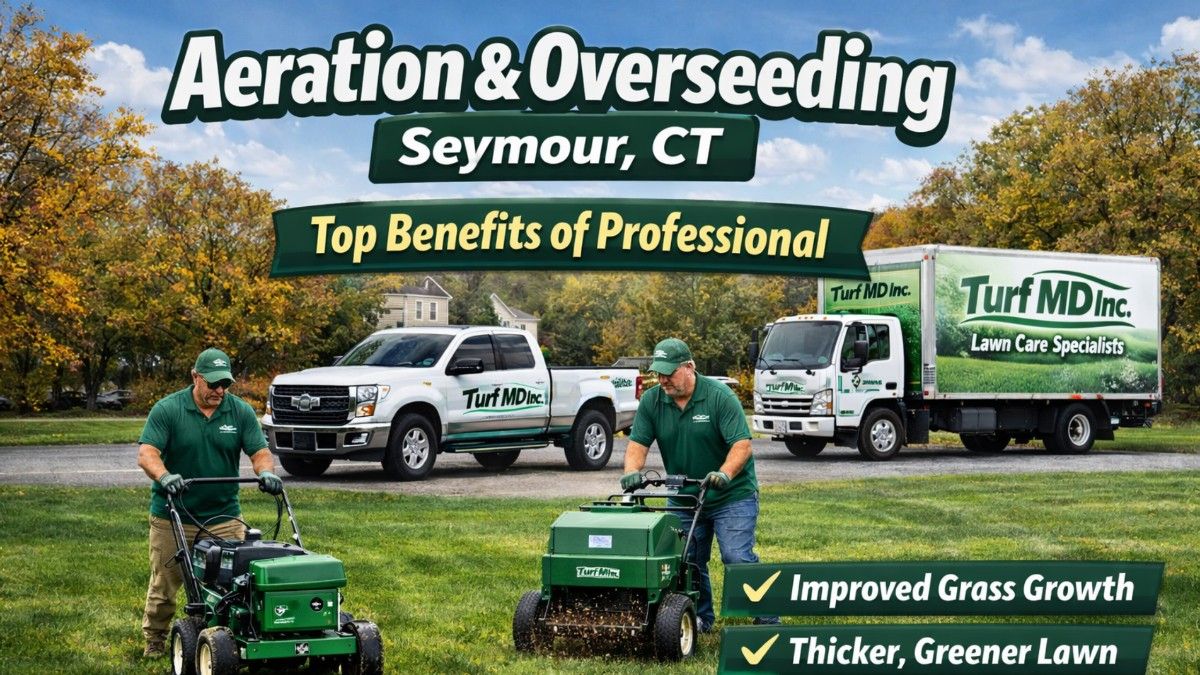 Aeration & Overseeding Seymour CT | Top Benefits of Professional
