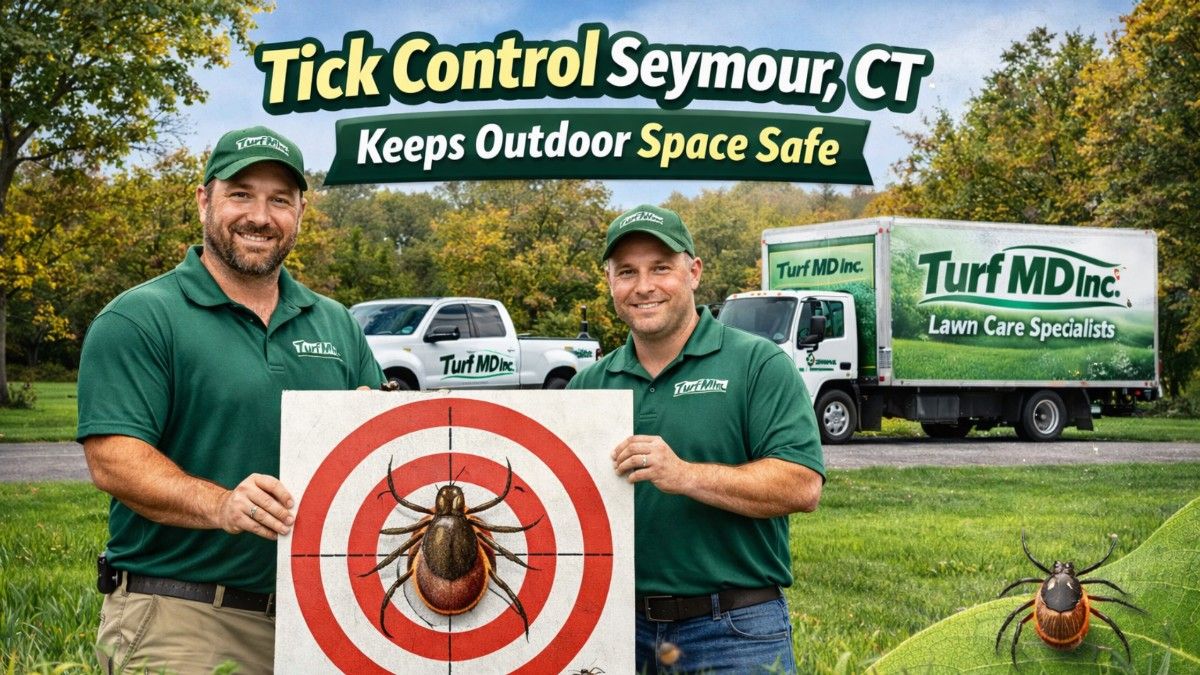 Tick Control Seymour CT Keeps Outdoor Space Safe - Book Today
