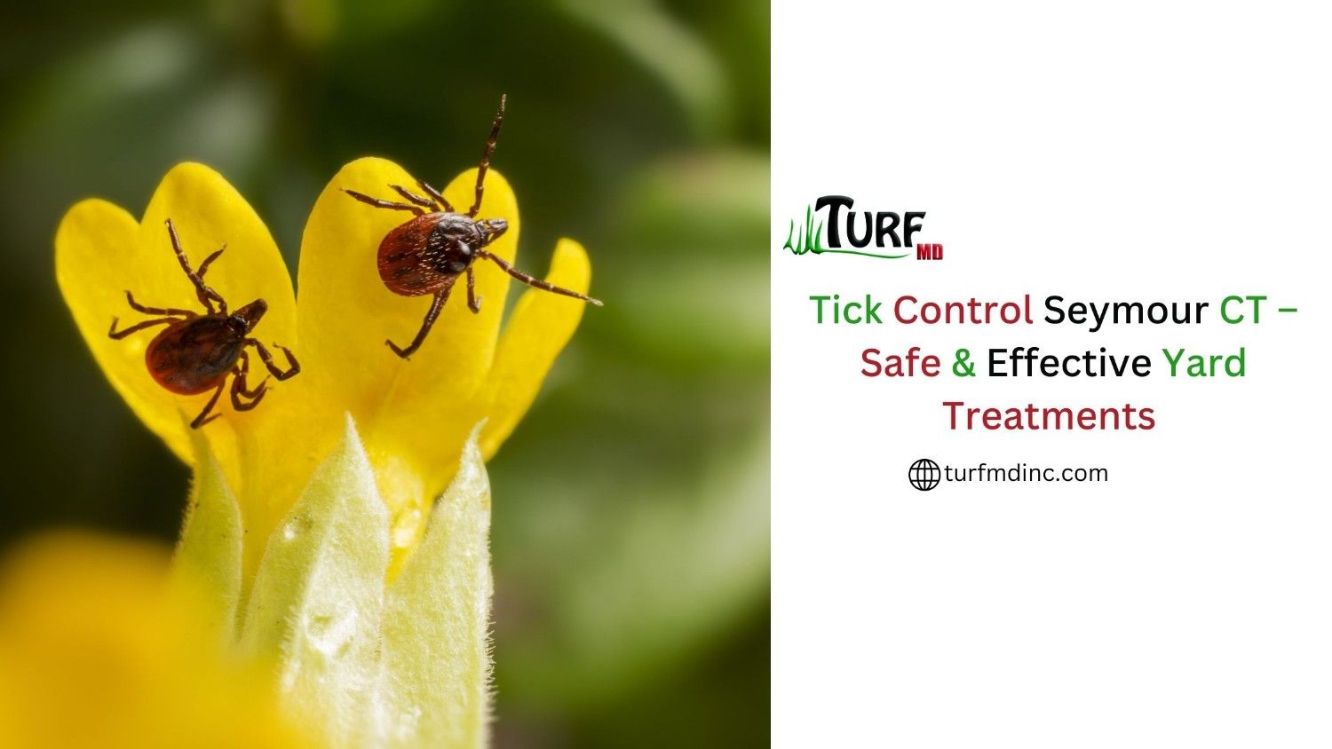 Tick control Seymour CT