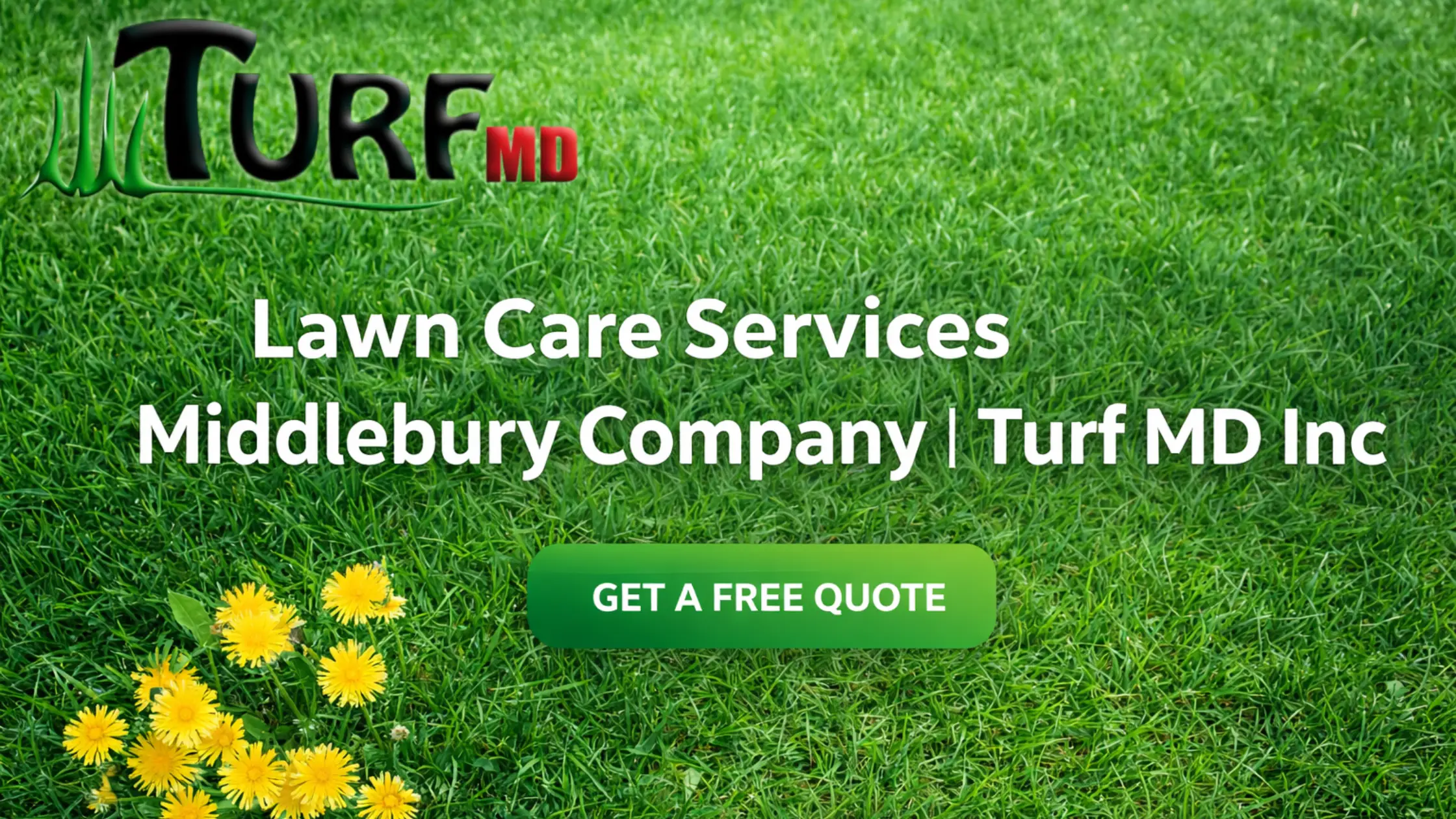 Lawn Care Services Middlebury Company | Turf MD Inc