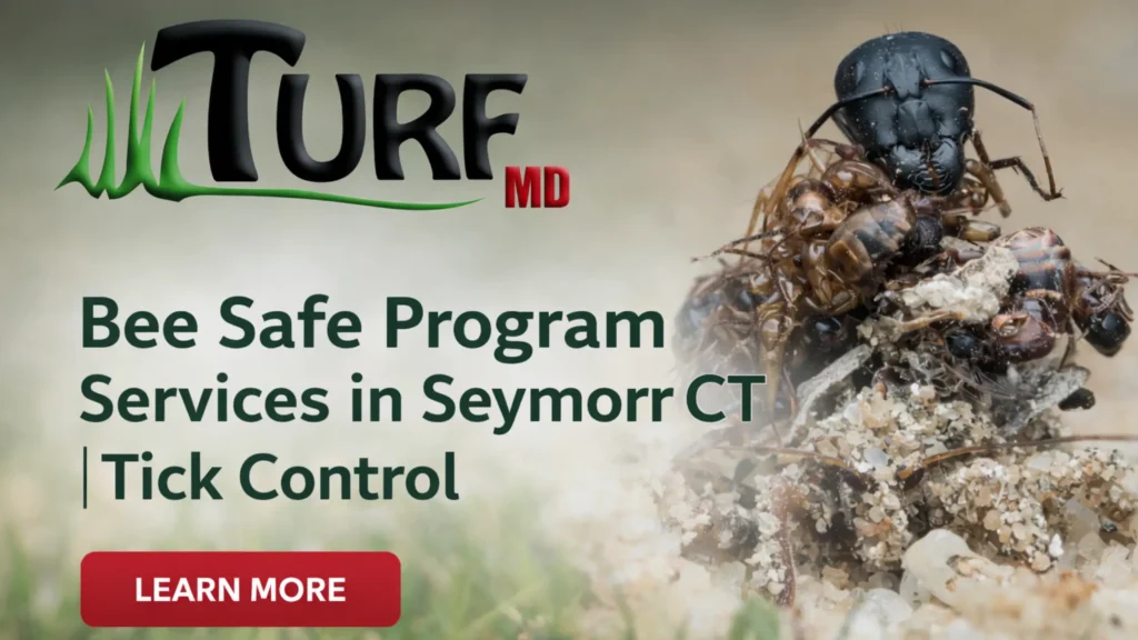 Bee Safe Program Services in Seymour CT | Tick Control