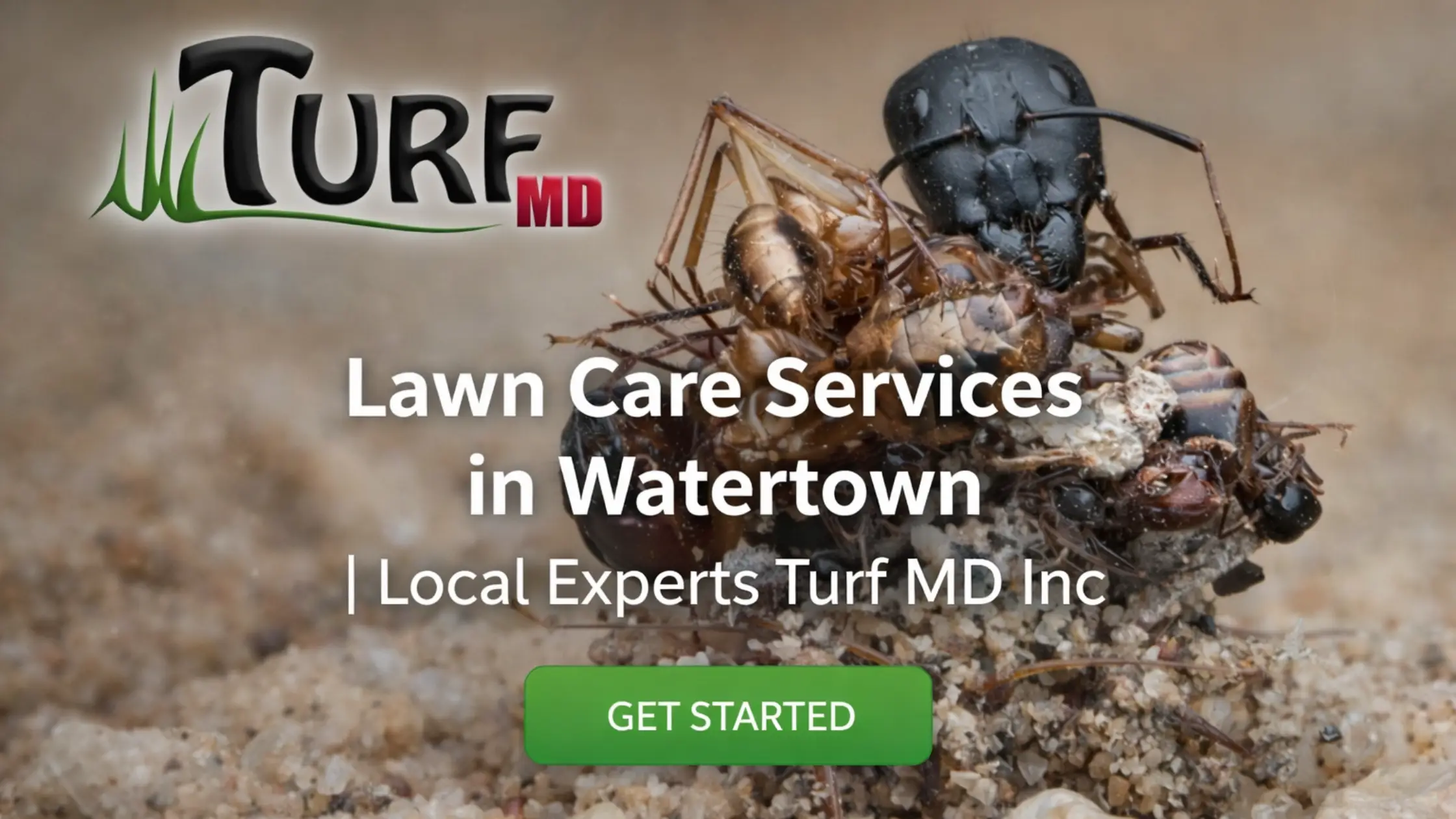 Lawn Care Services in Watertown | Local Experts Turf MD Inc