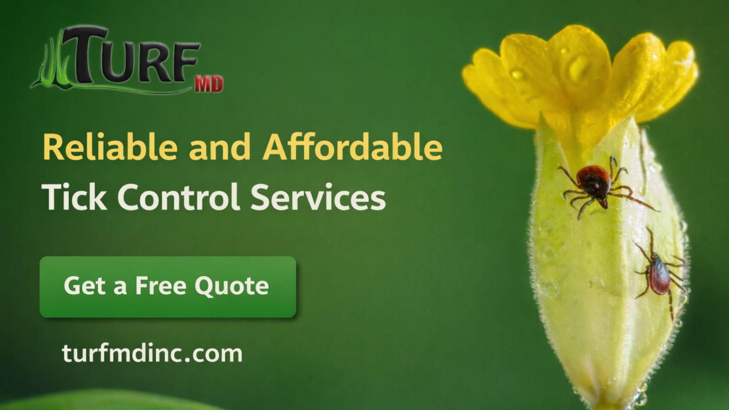 Reliable & Affordable Tick Control Services