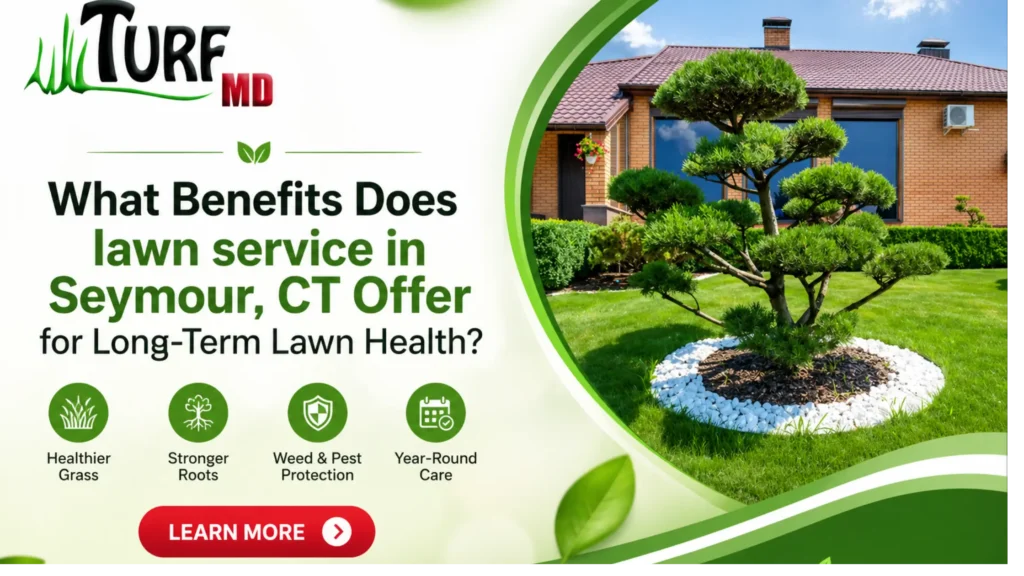 What Benefits Does lawn service in Seymour, CT Offer for Long-Term Lawn Health?