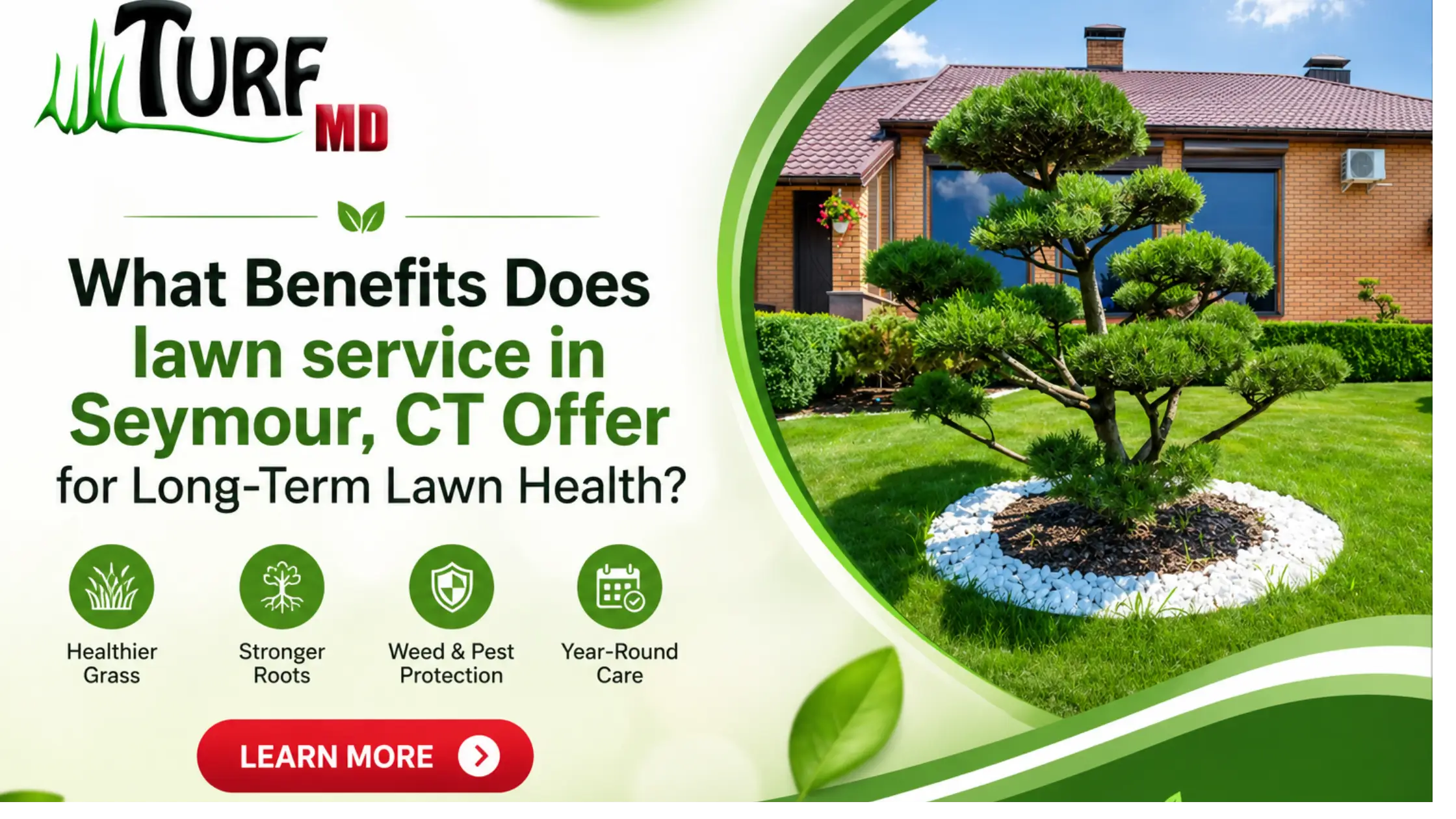 What Benefits Does lawn service in Seymour, CT Offer for Long-Term Lawn Health?