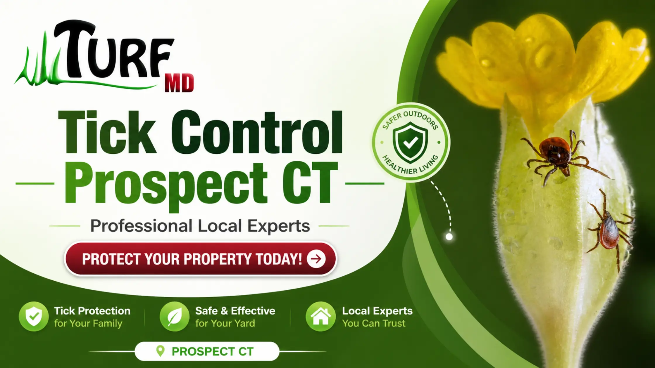 Tick Control Prospect CT | Professional Local Experts