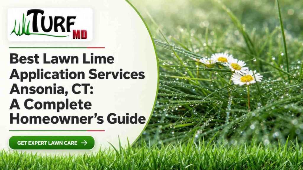 Best Lawn Lime Application Services Ansonia, CT: A Complete Homeowner’s Guide